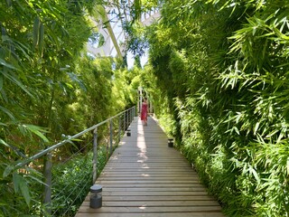 Woman in red dress walking on bamboo walkway