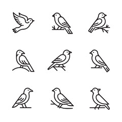 Minimalist Bird Line Icons Set – Elegant Outline Sparrow Vector Collection