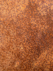 Coarse Rusted Metal Pattern. Close-up of coarse rust with rich orange-brown tones and deep texture.