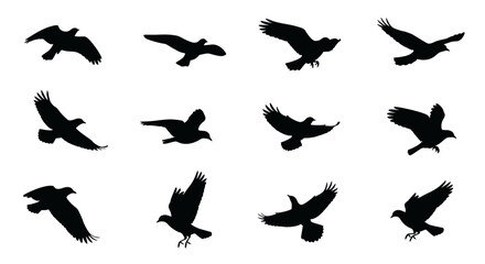 Fototapeta premium Set of flying bird silhouettes. Black vector icons of birds in different flight positions.