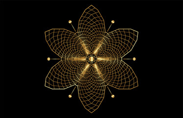 Seed of life symbol Sacred Geometry. Gold Logo icon  Geometric mystic mandala of alchemy esoteric Flower of Life. Interlaced gold circles, vector divine meditative amulet isolated on black background