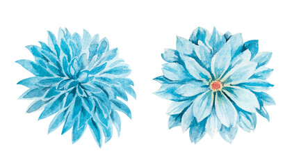 Pastel blue dahlia flowers hand drawn watercolor illustration isolated on white. Abstract botanical floral elements for festive, designs, greetings, invitation, interior, fashion, cosmetic decor