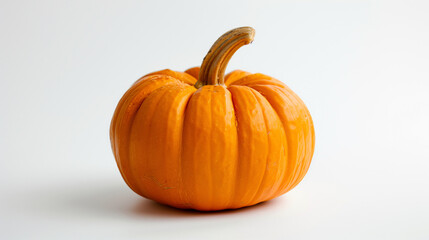 Fototapeta premium Minimalist Pumpkin Photography Seasonal Autumn Decoration