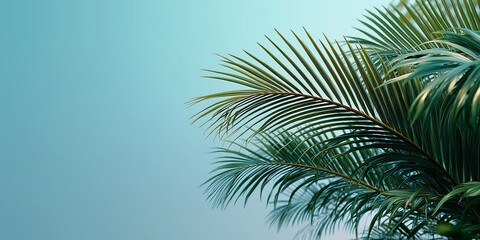 Fototapeta premium Close up of palm fronds against a light blue background with copy space on the left