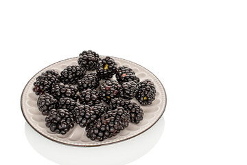Sweet fresh blackberry isolated on white background.