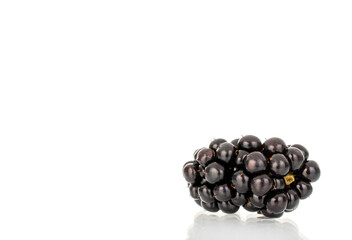 Sweet fresh blackberry isolated on white background.