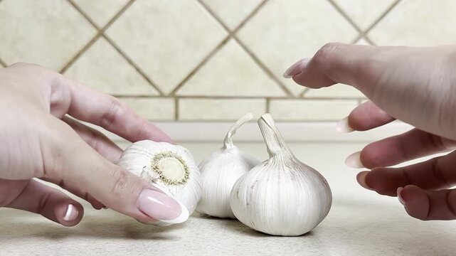 Close-up of woman&rsquo;s hand checking and inspecting fresh garlic before cooking on kitchen table, food preparation scene, natural light, healthy eating, ingredient quality control, culinary process