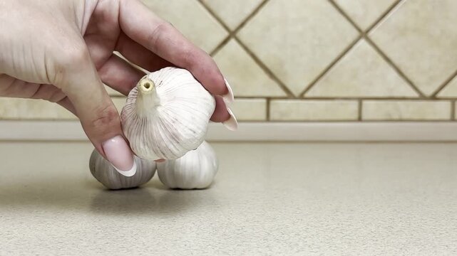 Close-up of woman&rsquo;s hand checking and inspecting fresh garlic before cooking on kitchen table, food preparation scene, natural light, healthy eating, ingredient quality control, culinary process