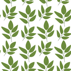 Seamless pattern matcha leaf on white backgound
