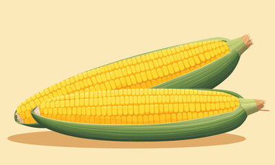 Yellow Corn on the Cob with Green Husk, Glossy Illustration on Transparent Background, Food Graphic for Web Design