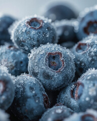 blueberries on a white background