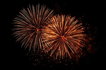Fireworks burst against black night sky