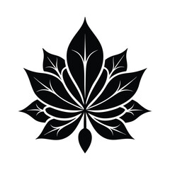 vector illustration of a leaf