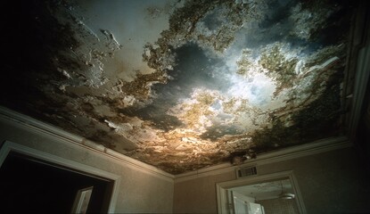 Intricate painted sky ceiling