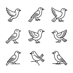 Minimalist Bird Line Icons Set – Elegant Outline Sparrow Vector Collection