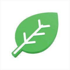 Green leaf icon with white veins and stem on white background nature plant
