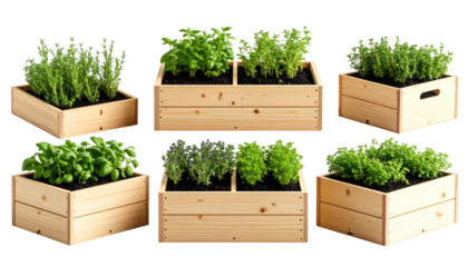 Flourishing herbs in wooden raised planters, a guide to elevated gardening wooden