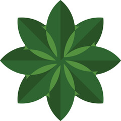 Dynamic Green Leaf Star Design
