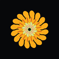 Radial Sunburst Design with Vibrant Orange Accents