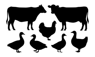 farm animals collection