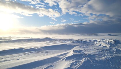Wind sweeps tundra surface