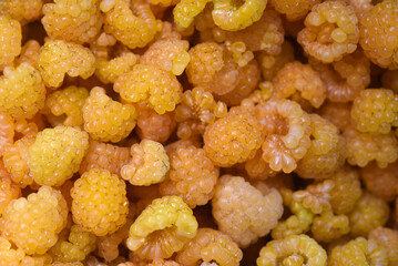 Yellow raspberries in close-up. Juicy sweet yellow berries.