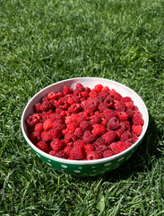 Bowl filled with fresh, ripe raspberries resting on vibrant green grass, showcasing the natural beauty and rich color of the berries in a sunny outdoor setting