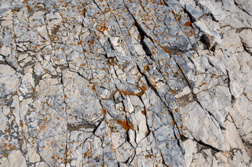 Rock with orange lichens