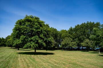 View of Scarborough Heights Park landscape in Toronto.
