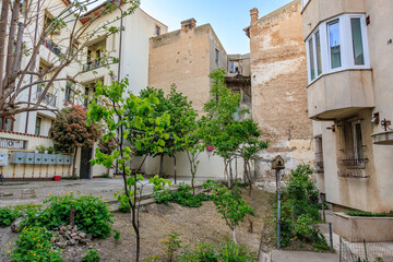 Urban garden in historic courtyard with greenery and weathered buildings