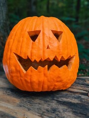 Autumn Harvest Pumpkin