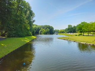 Fototapeta premium A flock of wild brown ducks swims along the river along the shore. Trees and nature in Netherlands area. Ducks family are swimming on the lake and enjoying good weather. bridge. 