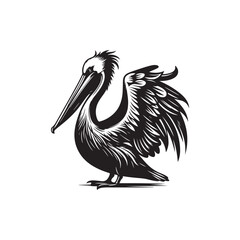 Pelican bird Vector (1).eps