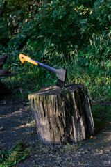 an axe stuck in a log in a forest park