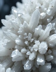 white crystals
