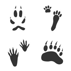 Footprints of  Animal, Traces of a Hare, Bear, Fox, Raccoon on white background.  Silhouette animal tracks in gray. Paw Print for your  design. Vector illustration. EPS10.