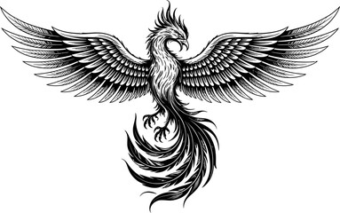 Obraz premium Phoenix With Spread Wings bird mythical