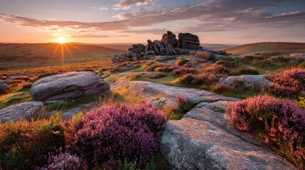 Naklejka premium Sunrise over tors with heather