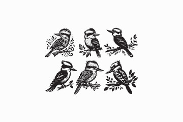 Obraz premium Kookaburra bird vector silhouettes image made by adobe illustrator.
