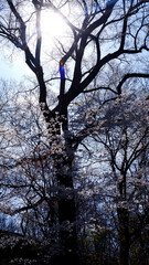Voyage New York printemps 2023