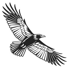 Create the silhouette of a bird in flight, with strong black lines on a white background