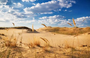 Beautiful desert landscape with dunes. Walk on a sunny day on the sands.