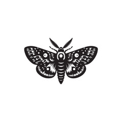 Moth Vector (3).eps