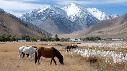 Obraz premium Snow-capped mountains tower above golden meadows and a gentle stream, with horses grazing near a rustic farmhouse in a tranquil valley
