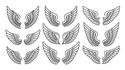 Collection of Diverse Wing Illustrations Artistic Set of Angelic and Bird-like Wing Designs for Creative Projects