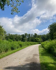 path in the park