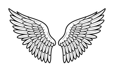 Obraz premium Detailed Angel Wings Illustration Symmetric Feathered Design in Black and White Artistic Drawing for Symbolism and Creativity
