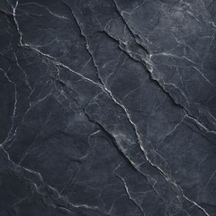 Dark gray stone with prominent, intersecting,  veins