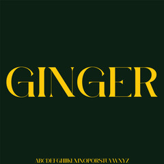 Elegance minimalist serif alphabet display font vector for branding design