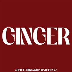 Elegance minimalist serif alphabet display font vector for branding design